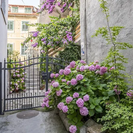 Apartman Sara